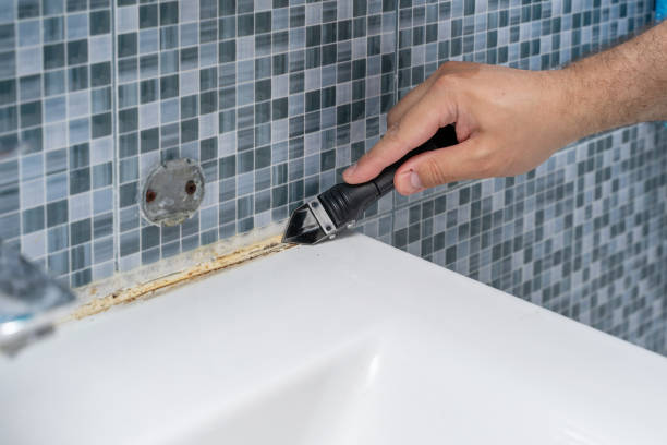 Best Emergency Mold Removal  in Walls, MS