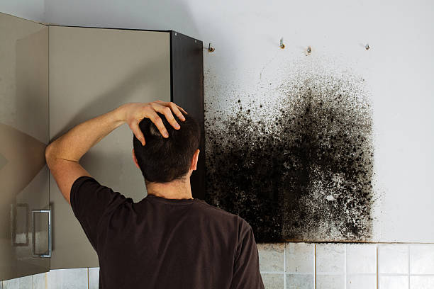 Water Damage Restoration in Walls, MS