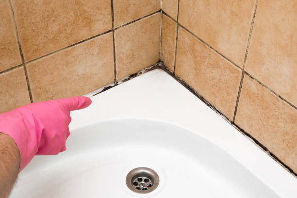 Best Mold Testing  in Walls, MS